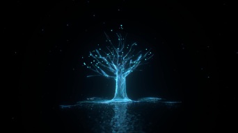 科技光线粒子树生长 Alpha通道视频素材包