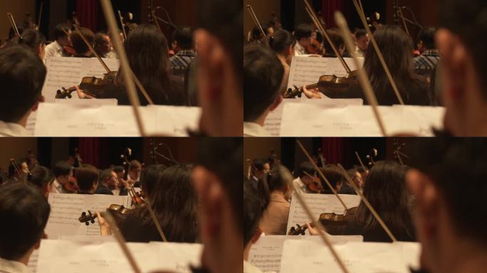 剧院音乐会乐队演奏小提琴乐谱背影实拍素材