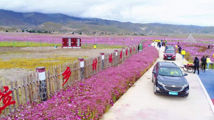 川藏花海自驾游 自驾游 花海旅游 拉乡村