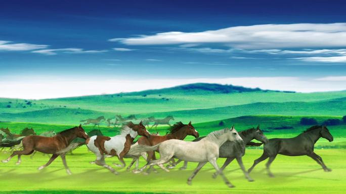 唯美蒙古草原群马奔跑