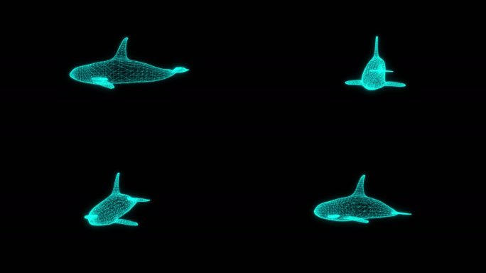 3款唯美鲸鱼A海豚 粒子海豚 鲸鱼游动