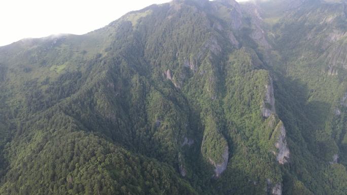 航拍湖北神农架5A景区 (16)