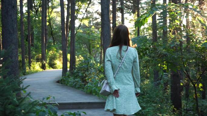 女孩在树林行走