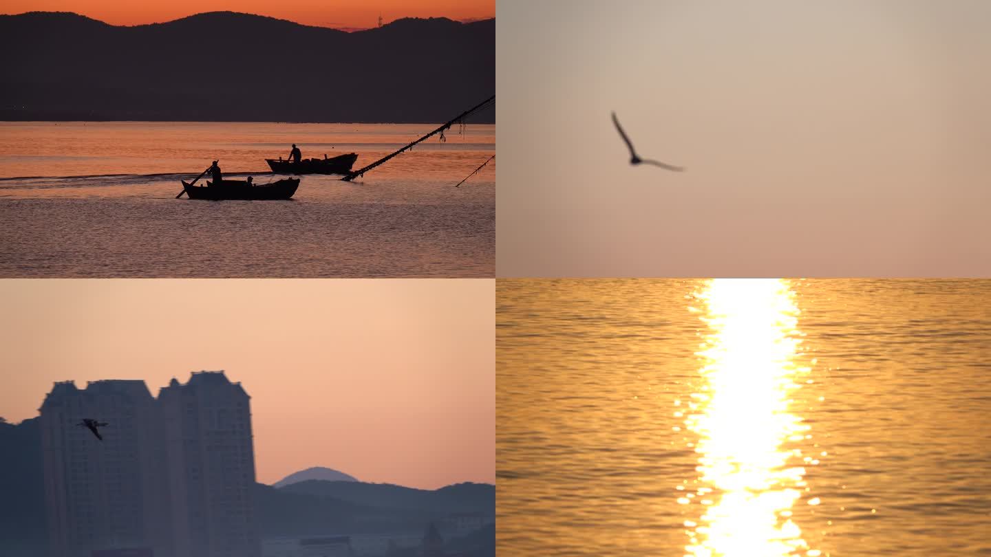 清晨海边渔船海鸥