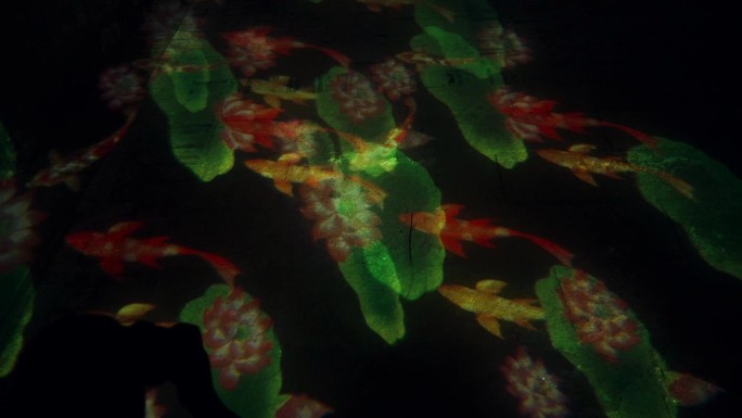 三维鲤鱼荷叶旋转投影