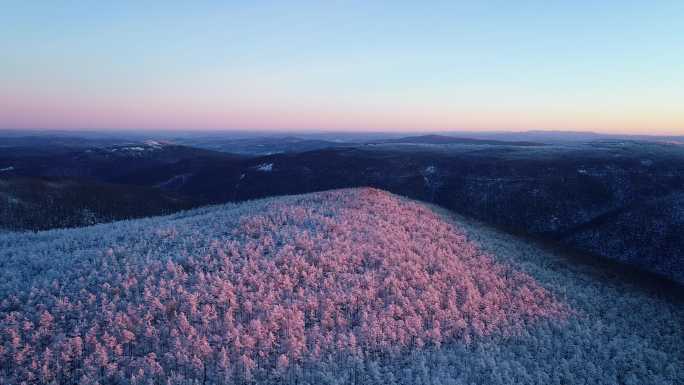 航拍大兴安岭林海雪原雾凇暖阳