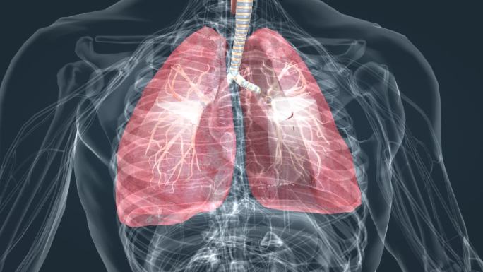 肺功能肺炎气管炎支气管肺炎三维特效素材