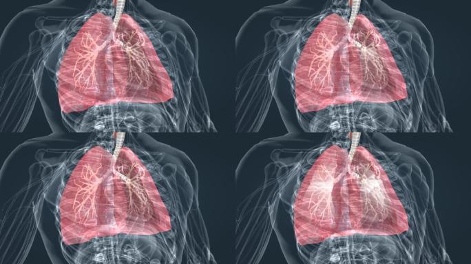 肺呼吸肺活量深呼吸支气管医学特效三维动画