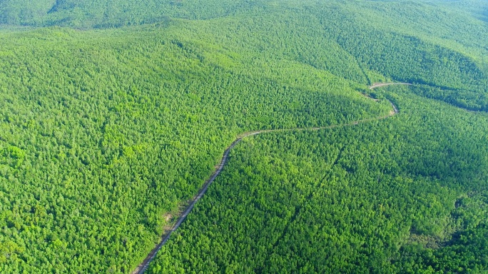 航拍大兴安岭绿色林海山路弯弯