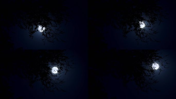 月亮上升过程