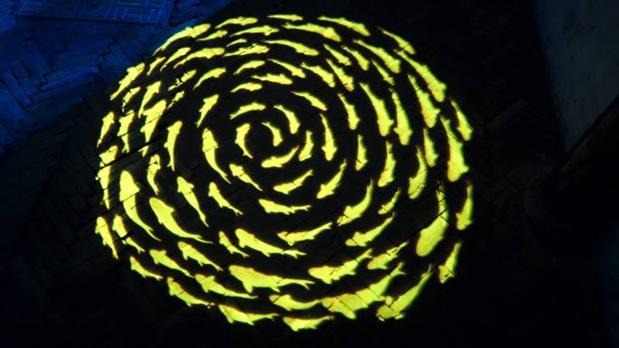 地上旋转的鱼群投影