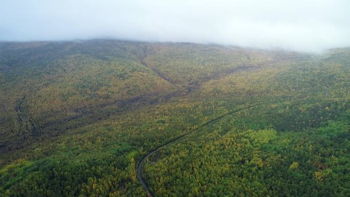 航拍秋季山林下雨湿地的雨雾