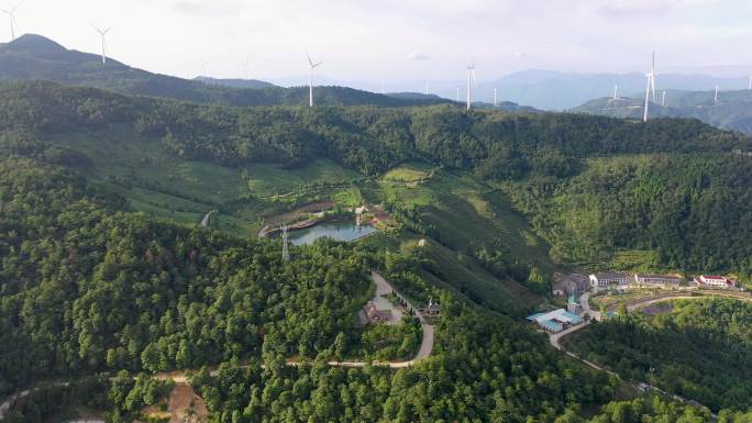 浙江黄岩大寺基