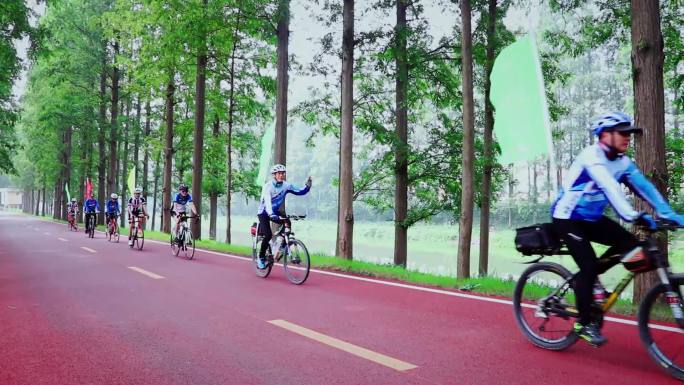 自行车队绿道骑行锻炼
