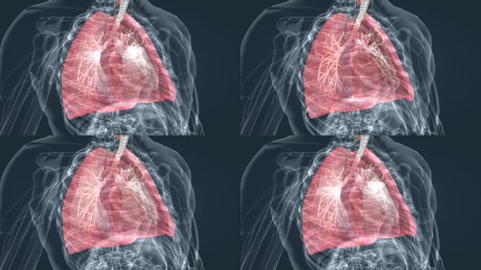 肺呼吸 肺活量 深呼吸 肺功能 吸气呼气