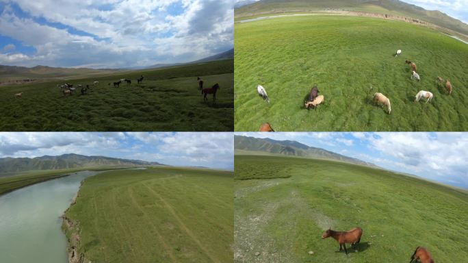 4K穿越机fpv航拍新疆巴音布鲁克草原