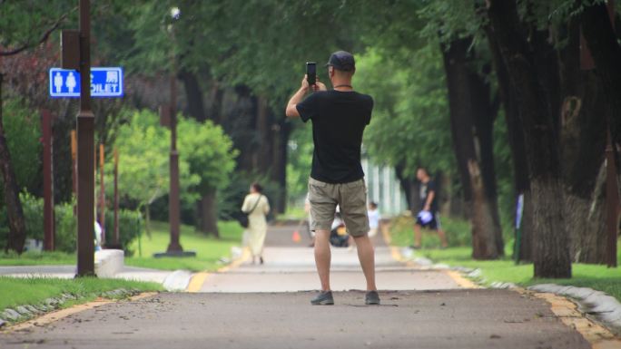 林荫绿道上用手机拍风景的行人