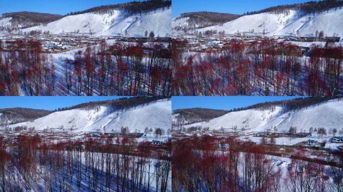 航拍雪原红柳山里人家