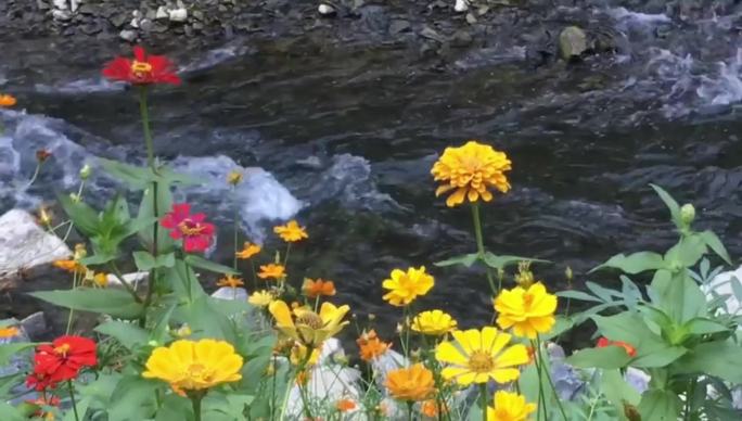 悠悠河水