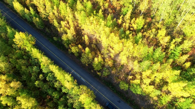 航拍大兴安岭秋季彩林山路