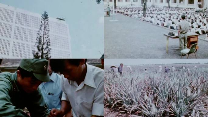 80年代越南胡志明市民兵农业生产