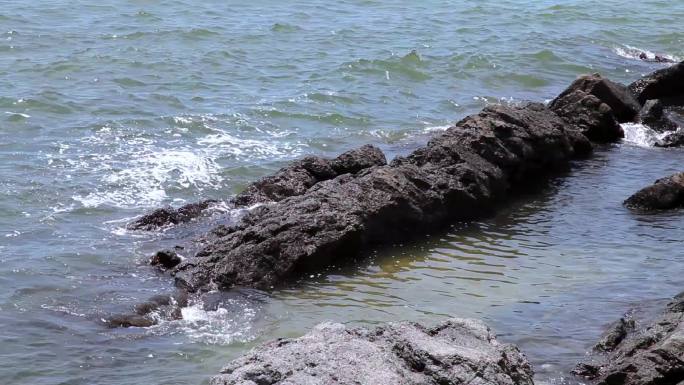 黑石礁1、海洋、海浪礁石