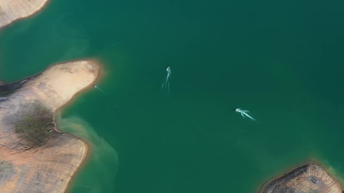 户外风景河源万绿湖冲浪运动