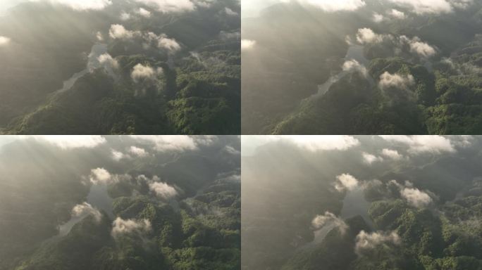 云雾缭绕的清晨森林湖泊