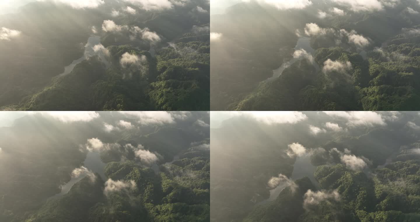 云雾缭绕的清晨森林湖泊