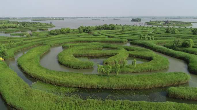 大纵湖芦荡迷宫