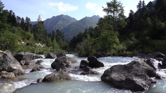 自然生态 小溪 水源视频素材