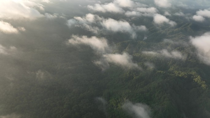 俯拍云雾原始森林山河