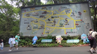 杭州动物园门口游客参观游玩视频素材