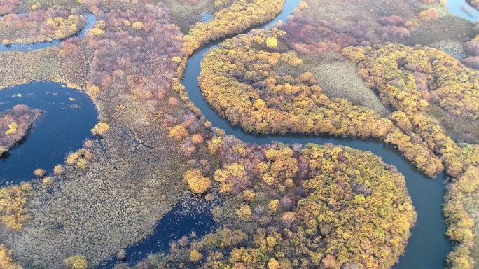 航拍湿地公园河湾秋色