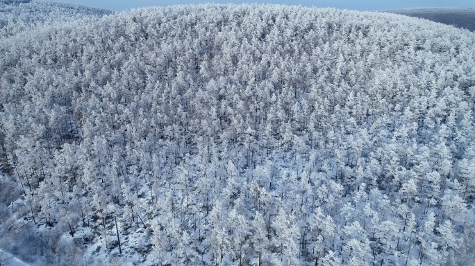 航拍冻土地带林海雪原
