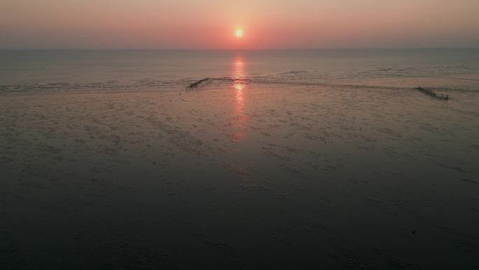 杭州湾滩涂日出时赶海航拍