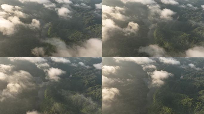 云雾缭绕的清晨的森林湖泊