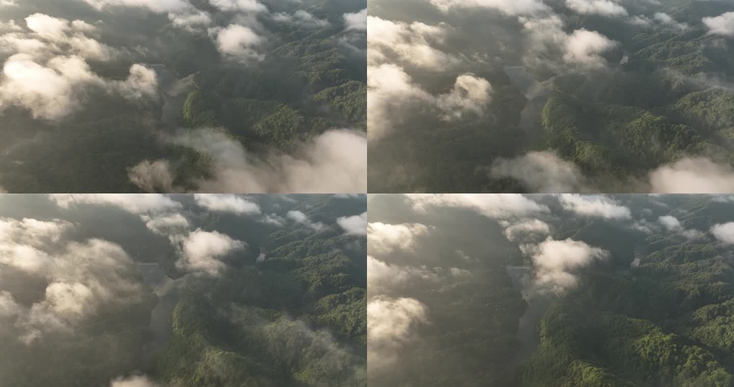 云雾缭绕的清晨的森林湖泊