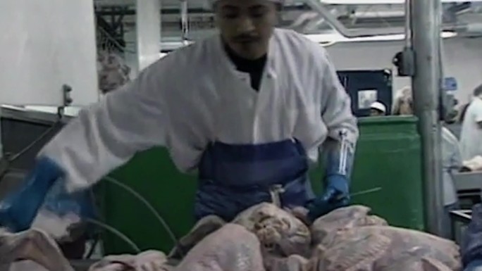 90年代感恩节火鸡养殖场加工厂超市
