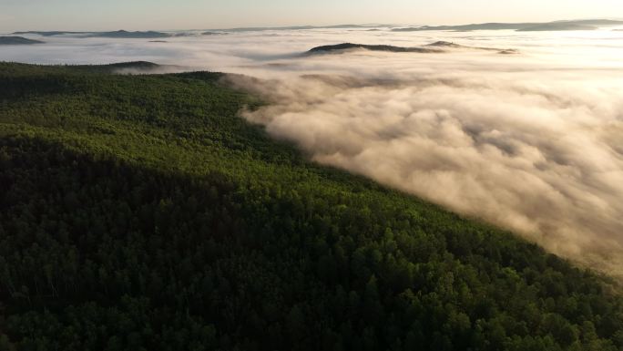 航拍山林云海朝阳