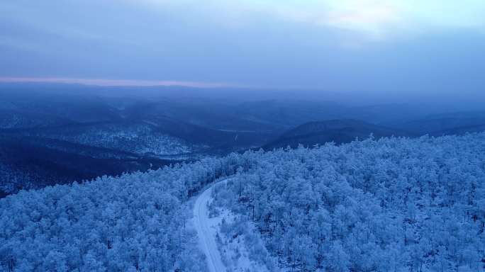 航拍冻土地带林海雪原