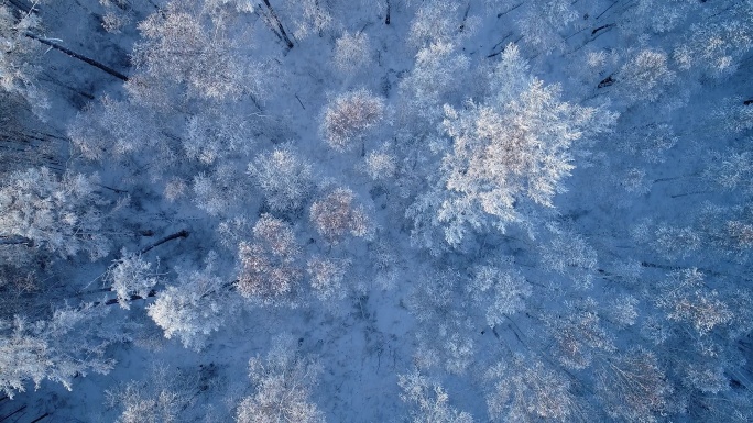 航拍雪原雪林