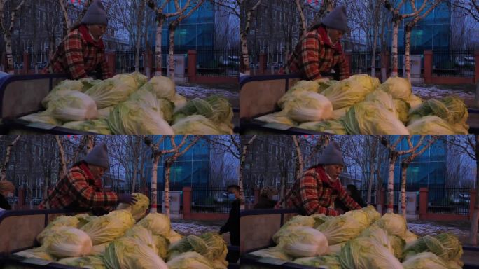 地毯 商贩 菜贩子 买菜 勤劳大白菜