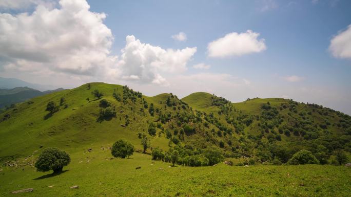 高山草甸延时