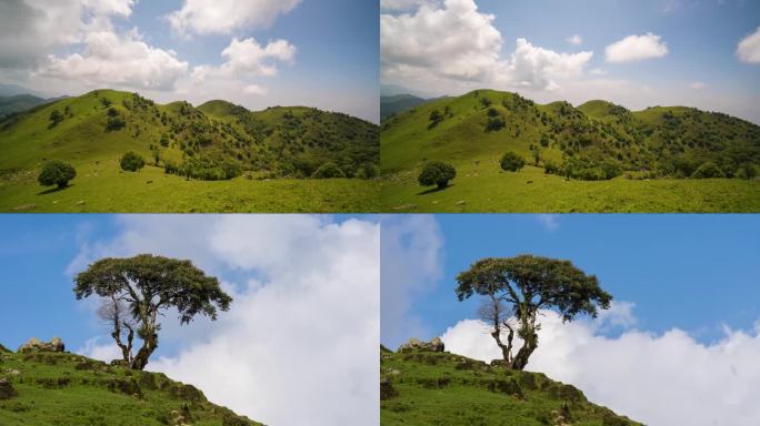 高山草甸延时