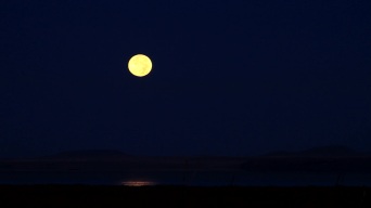 内蒙古达里诺尔湖月夜视频素材