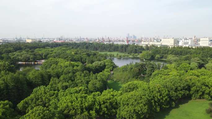 上海共青森林公园上海杨浦共青公园4K航拍