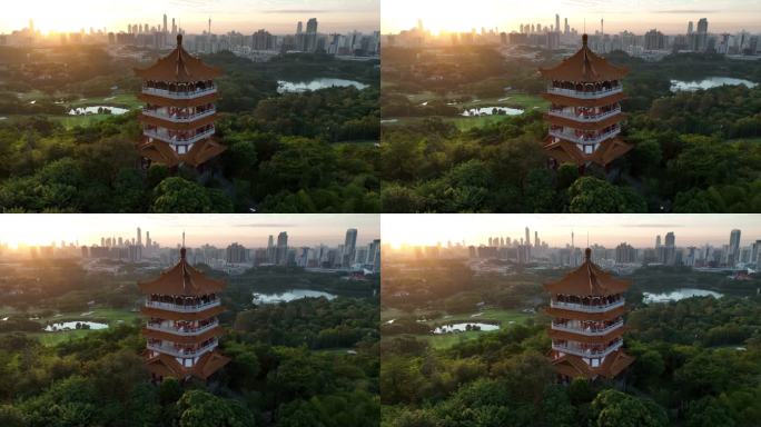 广东省广州市麓湖公园鸿鹄楼日出航拍