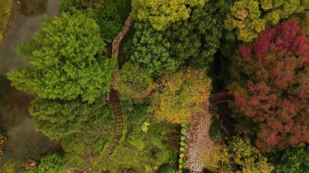上海辰山植物园视频素材