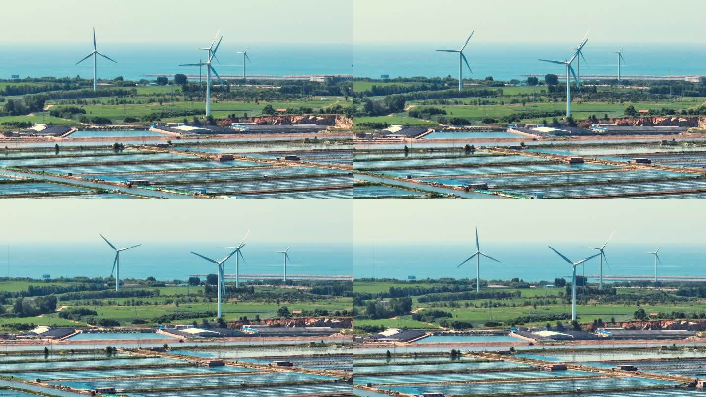 风力发电 碳中和 清洁能源